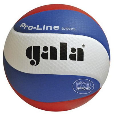 Volejbalová lopta GALA PRO-LINE 5591S - veľ.5