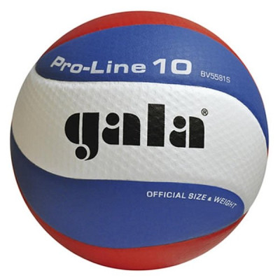 Volejbalová lopta GALA PRO LINE 5581S - veľ.5